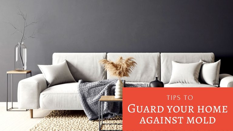 Guard Your Home Against Mold