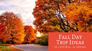 Fall Day Trip Ideas In Central Alabama