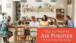 Why You Need An Air Purifier In Your Home This Spring