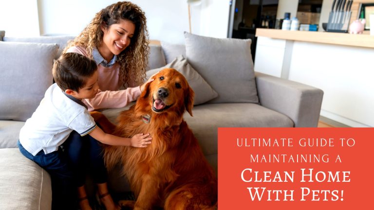 The Ultimate Guide to Maintaining a Clean Home with Pets